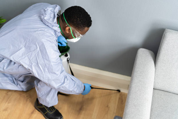 Best Indoor Pest Control  in North Arlington, NJ